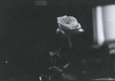 Screen Shot 2015-01-16 at 4.41.23 PM